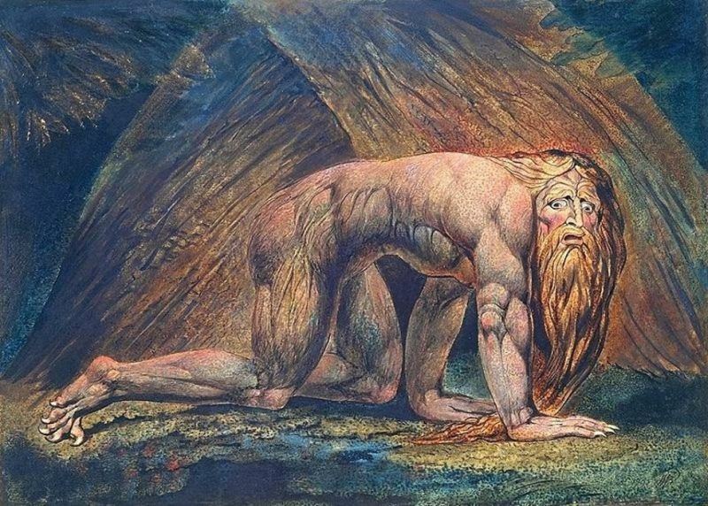 اضطراب نفسي يعتقد المصاب به أنه “بقرة”.. 